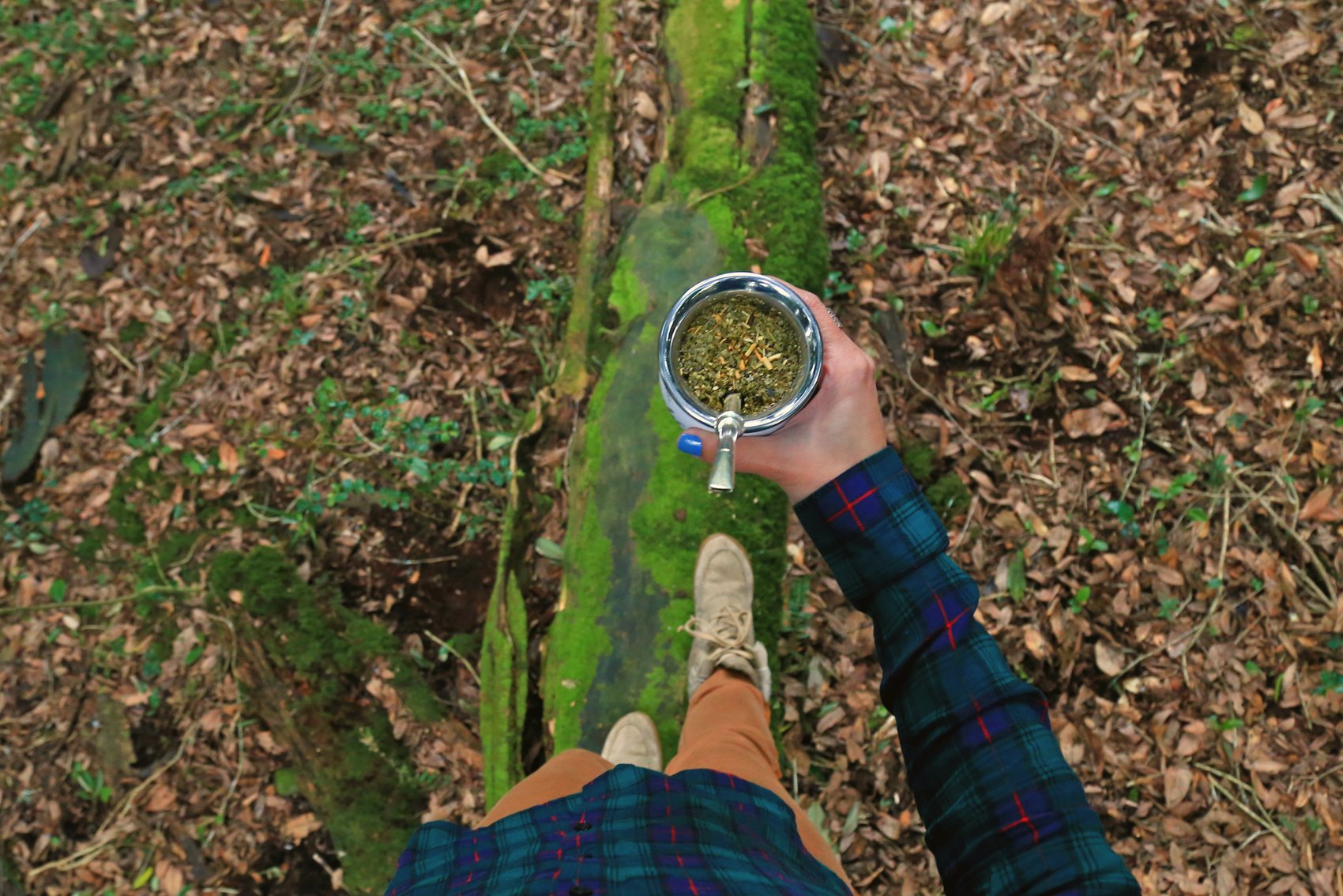 Yerba mate con y sin palo